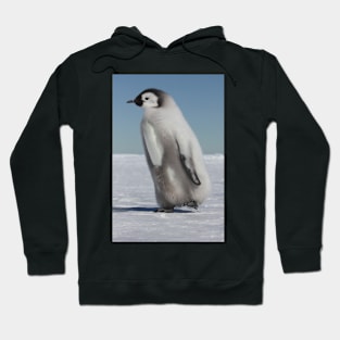 Emperor chick Hoodie